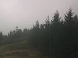 15 : 56