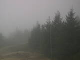 16 : 12