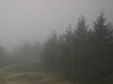 16 : 32