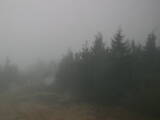 Záznam
