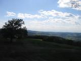 16 : 32