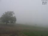 08 : 12