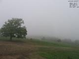 08 : 20