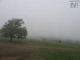 08 : 44