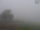09 : 04