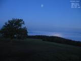 03 : 48