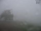 19 : 36