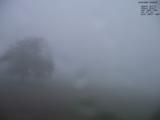 19 : 48
