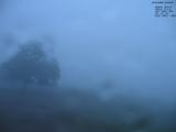 20 : 40