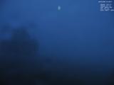 21 : 28