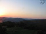 20 : 40