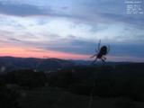 20 : 40