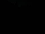 04 : 20