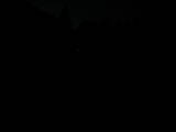 04 : 20