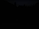20 : 40