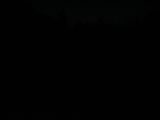 20 : 40