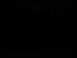 20 : 40