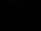 05 : 20