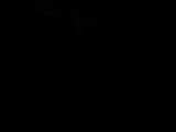 05 : 20