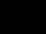 20 : 40