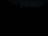 20 : 20