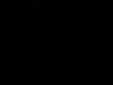 06 : 04