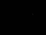 19 : 36