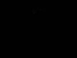 Záznam
