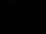 05 : 48