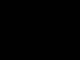 06 : 04
