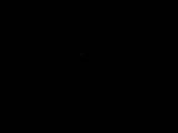05 : 44