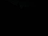 06 : 00