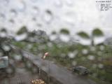 09 : 44