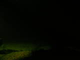 00 : 20