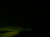 04 : 00
