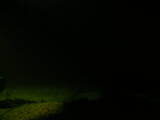 04 : 20