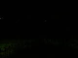 00 : 40