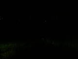 02 : 36