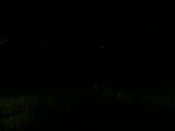 02 : 44