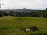 11 : 20