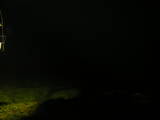 19 : 40