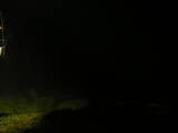 19 : 48