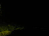 20 : 04