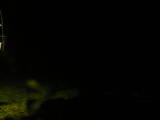 20 : 12