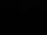 20 : 12