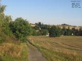 07 : 36