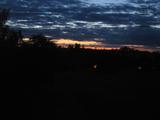 20 : 40