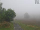 17 : 56