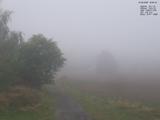 18 : 56