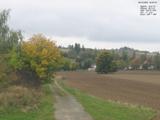 16 : 20